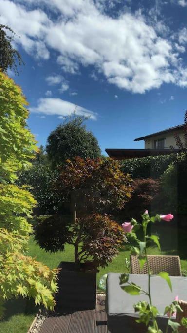 "Ferienhaus Am Mondsee" Mit Direktem Schafbergblick Im Salzkammergut Bei Salzburg מראה חיצוני תמונה